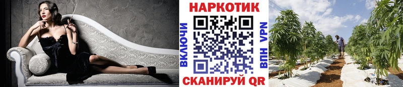Меф мяу мяу Ленинск